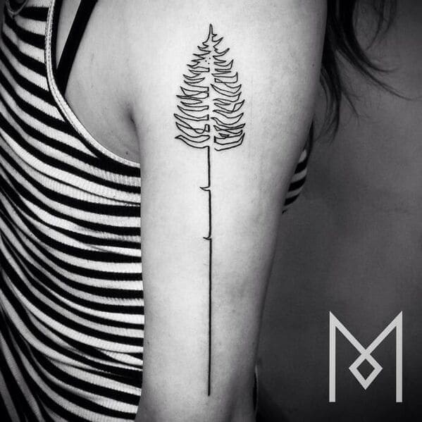 one line tattoo - pine tree