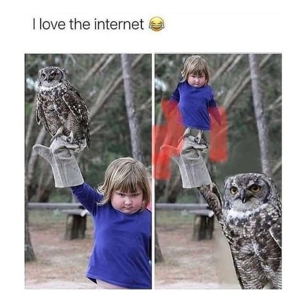 wholesome animal memes - kid holding owl