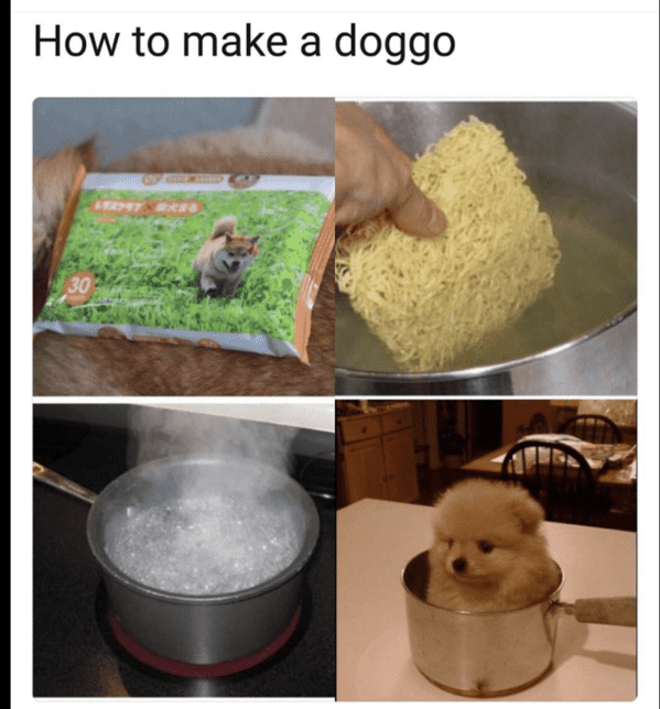 wholesome animal memes - how to make a dog ramen noodles