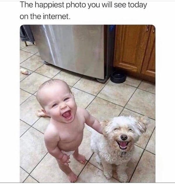 wholesome animal memes - baby with dog smiling