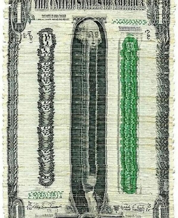 could be album covers - dollar bills george washington open mouth