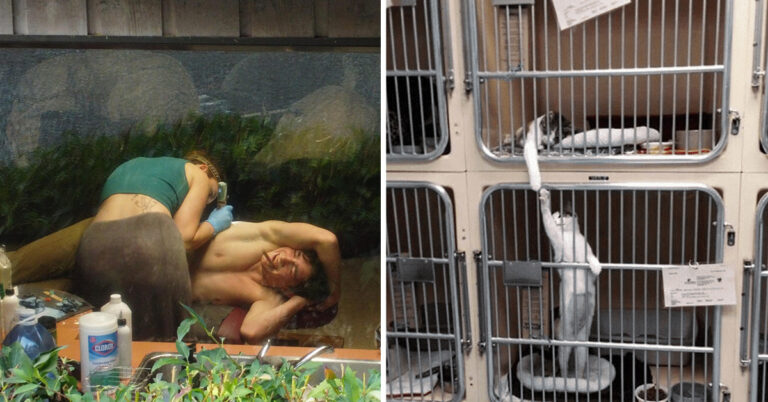25 Modern Day Photos That Accidentally Look Like Renaissance Paintings