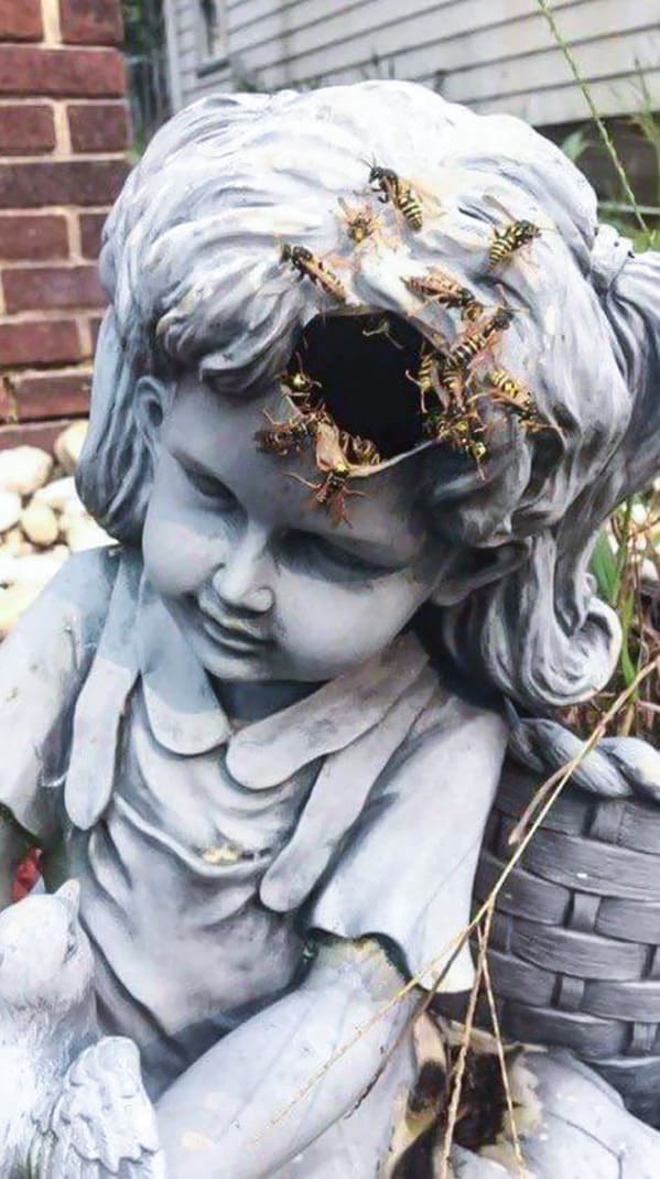 30 Times When People Witnessed The Creepy Side Of Mother Nature - Jarastyle