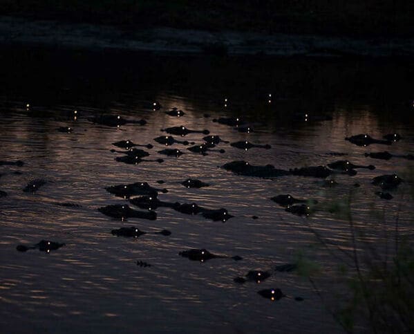 30 Times When People Witnessed The Creepy Side Of Mother Nature - Jarastyle