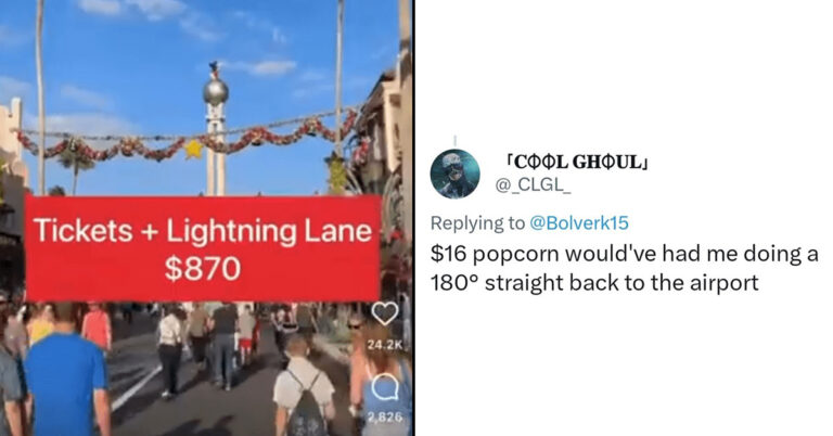 This Family’s Expensive Disney World Vacation Is Being Roasted Online (20+ Tweets)