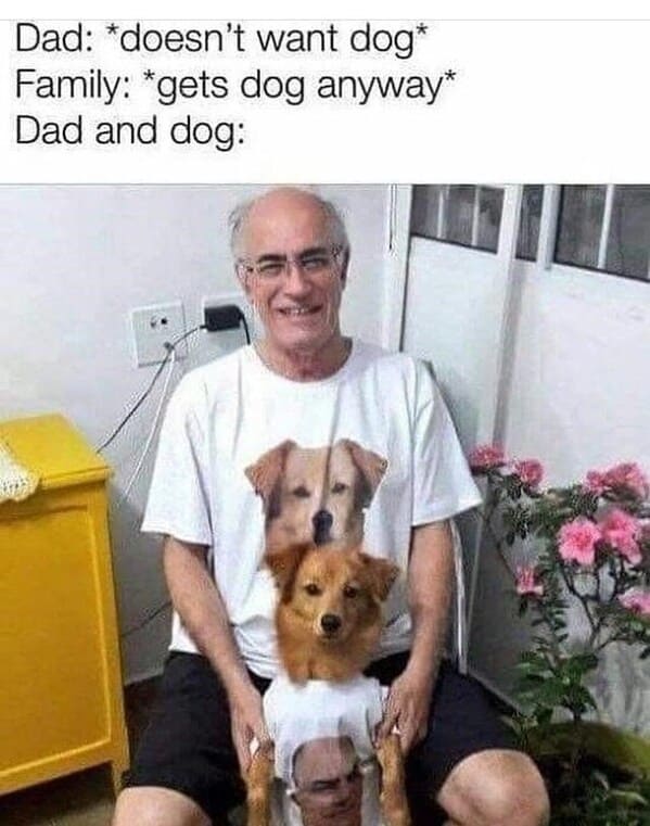 wholesome animal memes - dad and dog