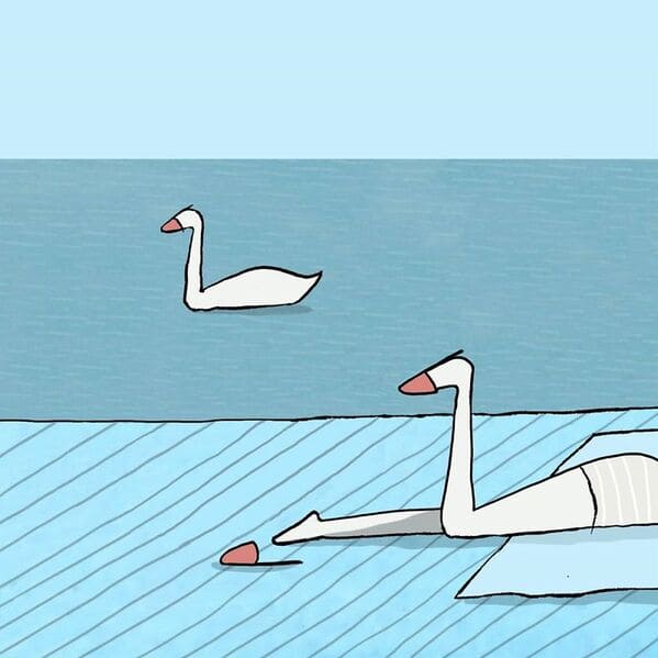 yuval robichek illustrations - swan