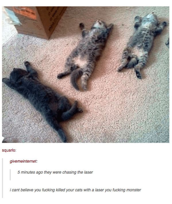 35 Vintage Cat-Themed Tumblr Posts That Catapult You To The Past - Jarastyle