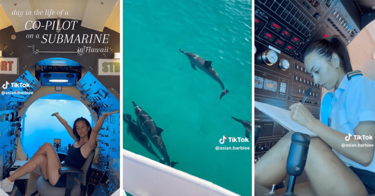 Zillennial Submarine Co-Pilot Shares An Incredible Day In Her Life That Has Everyone Enchanted