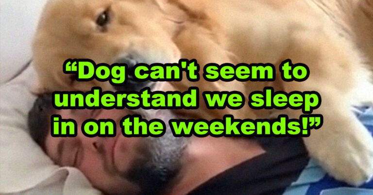 ‘I Have Most Of My Day Done By 8AM’ — 30 Early Risers Share The Reasons They Wake Up At 5AM