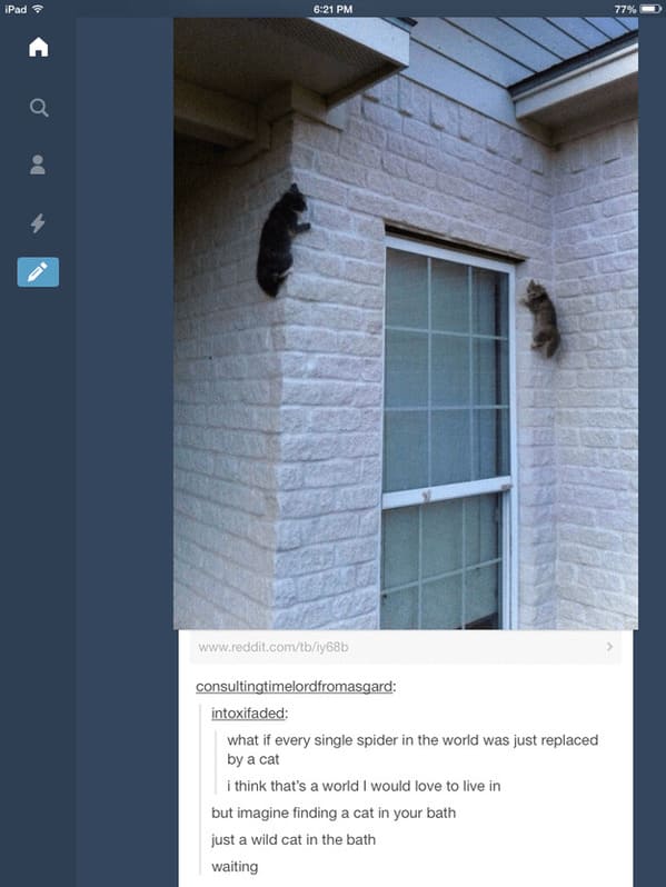 35 Vintage Cat-Themed Tumblr Posts That Catapult You To The Past - Jarastyle