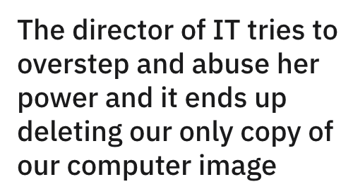 Director Of IT Abuses Her Power And Ends Up Deleting The Only Copy Of Important Computer Image - Jarastyle