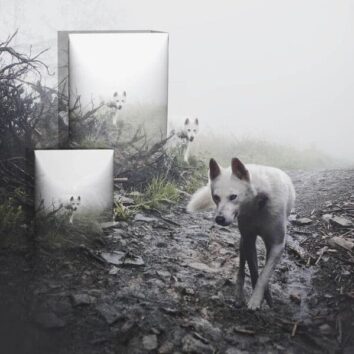 40 Surreal Images This Artist Created By Beautifully Merging Two Photos ...