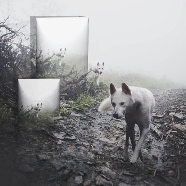 40 Surreal Images This Artist Created By Beautifully Merging Two Photos Into One - Jarastyle