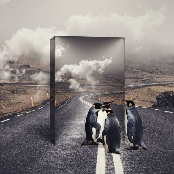 40 Surreal Images This Artist Created By Beautifully Merging Two Photos Into One - Jarastyle