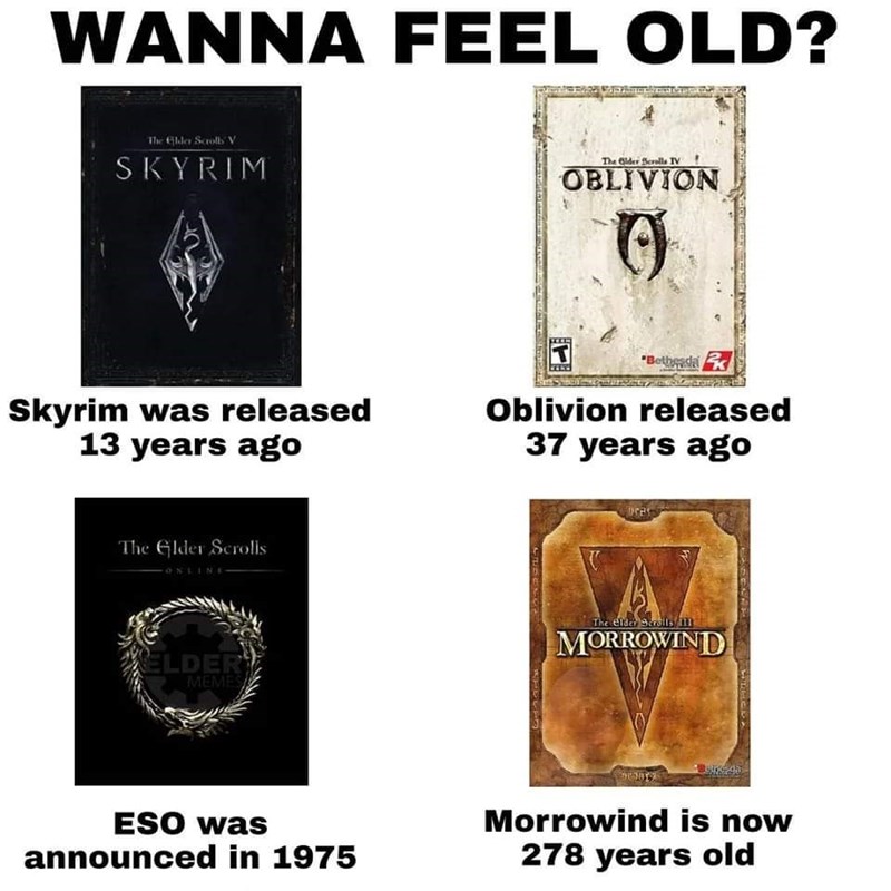 40 Elder Scrolls Memes For Everyone Who Dreamed Of Being Dragonborn - Jarastyle