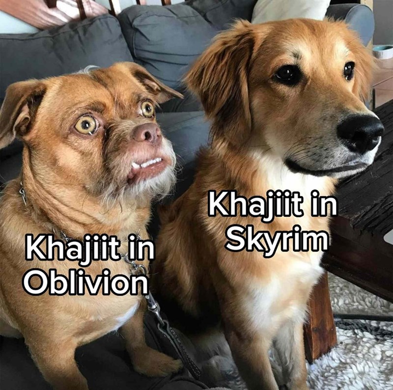 40 Elder Scrolls Memes For Everyone Who Dreamed Of Being Dragonborn - Jarastyle