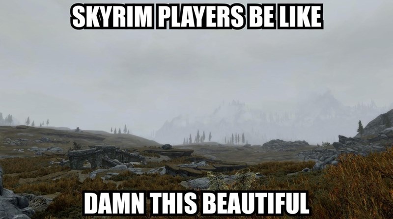 40 Elder Scrolls Memes For Everyone Who Dreamed Of Being Dragonborn - Jarastyle