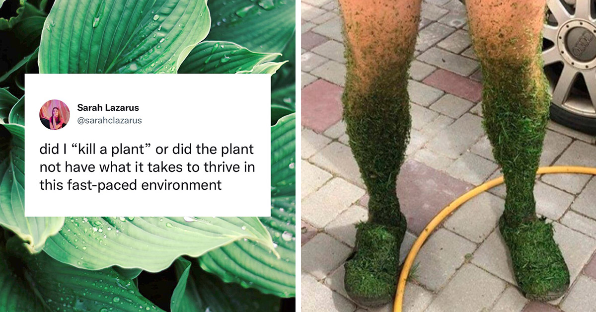 40 Funny Gardening Memes That Require