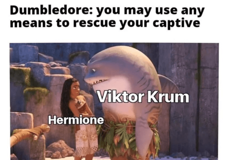 32 Harry Potter Memes to Cast Away the Muggle Blues