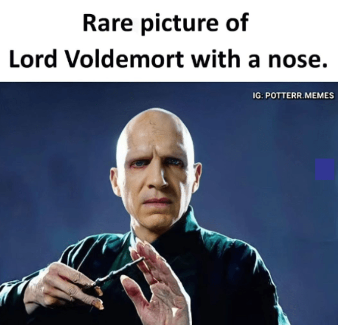 Voldemort, Harry Potter Memes