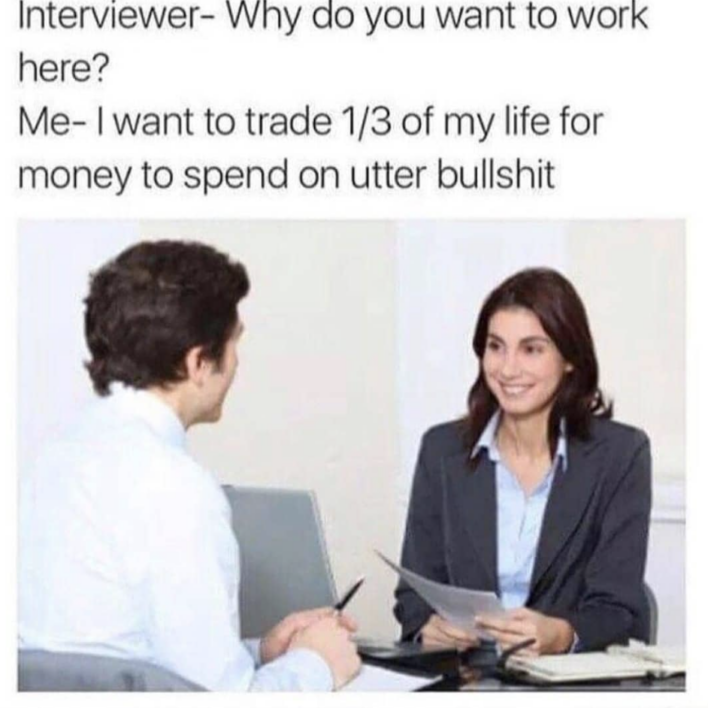 27 Funny Job Interview Memes To Read Instead Of Working On That Cover ...