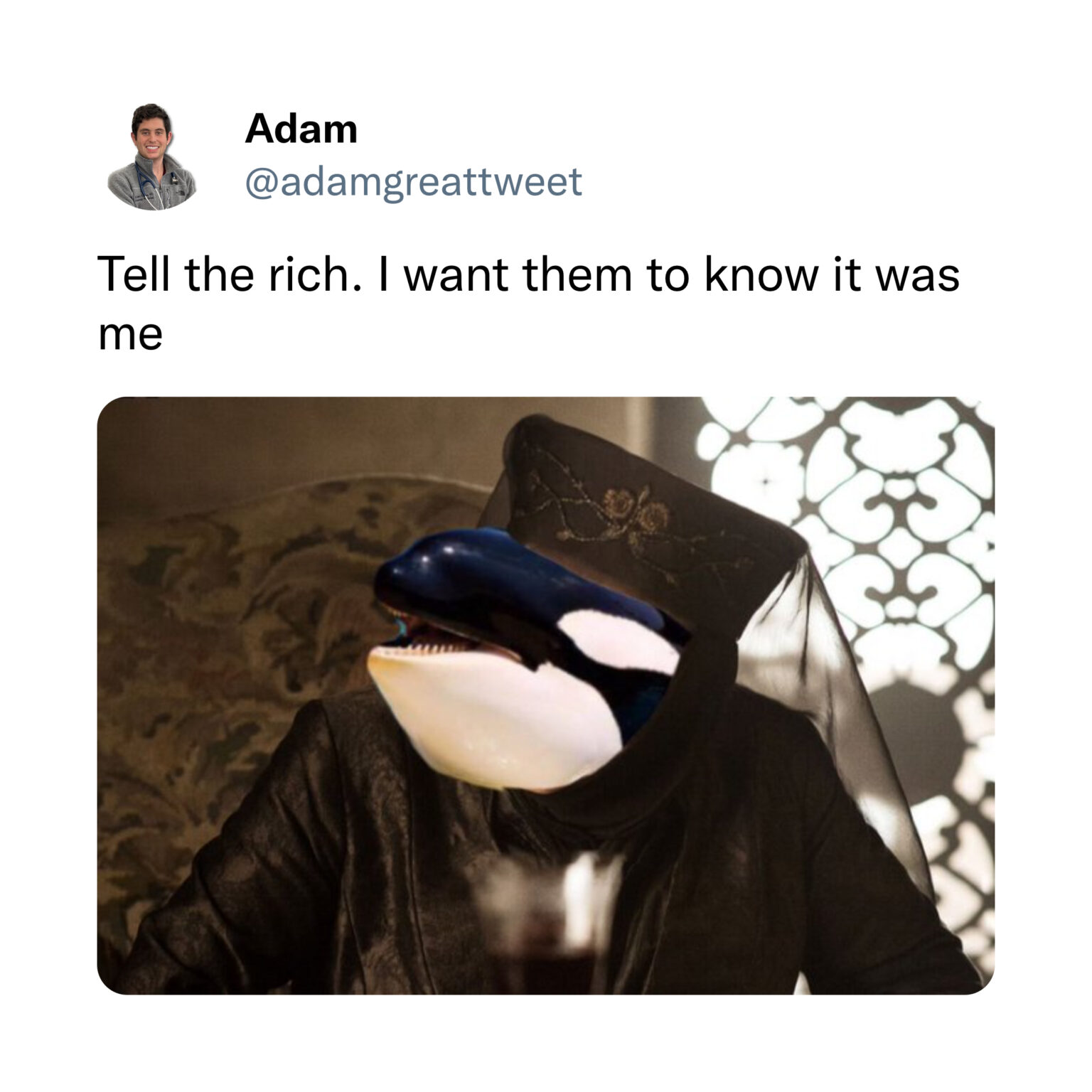 40 Funny Orca Attack Memes And Tweets We Should All Laugh At So They ...