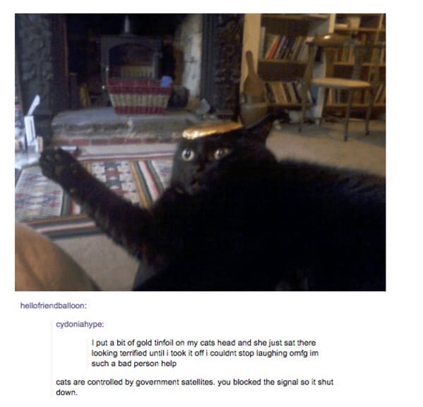 35 Vintage Cat-Themed Tumblr Posts That Catapult You To The Past - Jarastyle