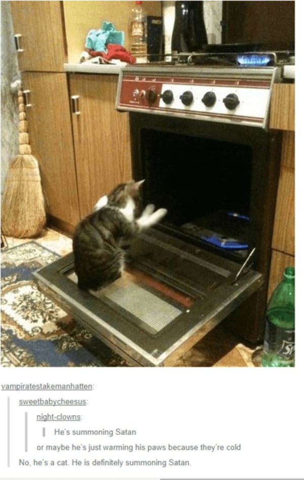 35 Vintage Cat-Themed Tumblr Posts That Catapult You To The Past - Jarastyle