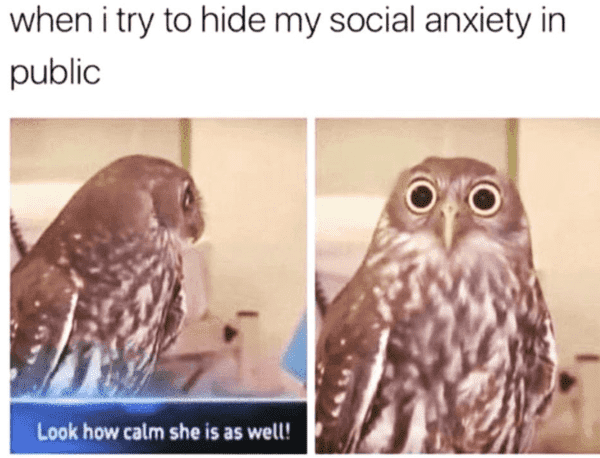 40 Funny Social Anxiety Memes For Introverts Who Always Leave The Party Early Without Saying Anything - Jarastyle