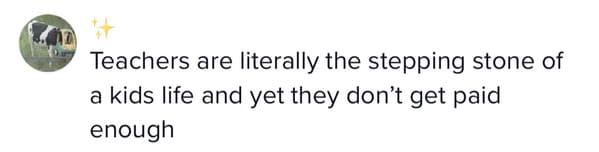 Viral TikTok Sheds Light On The Shocking Reality Of US Teacher Salaries - Jarastyle
