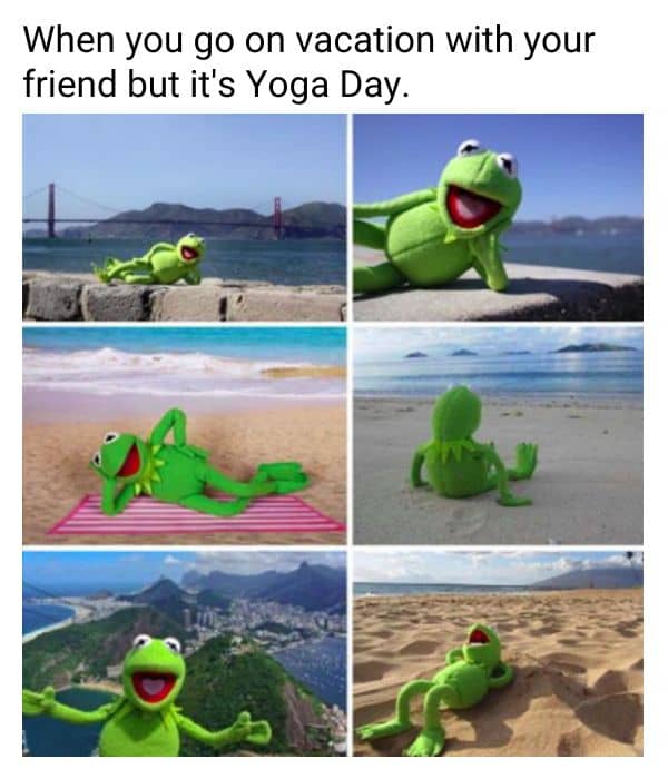 18 Funniest Yoga Memes For International Day of Yoga  Funny yoga pictures,  Yoga day quotes, Funny yoga memes