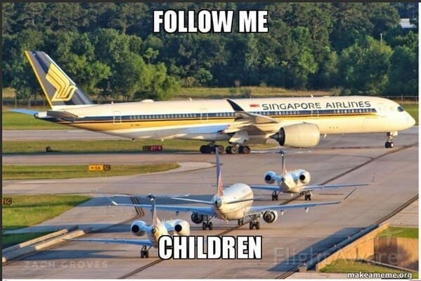 30 Hilarious Airline Memes For Travelers Who Would Rather Walk 1,000 ...
