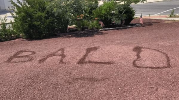 Local Kids Playfully Mock Bald Man's Paranoia - Jarastyle