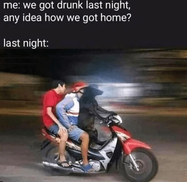 The Ultimate Collection Of Boozy Memes For Elder Millennials Hanging Onto The Party Days (17 Memes) - Jarastyle