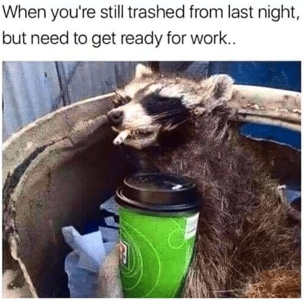 The Ultimate Collection Of Boozy Memes For Elder Millennials Hanging Onto The Party Days (17 Memes) - Jarastyle