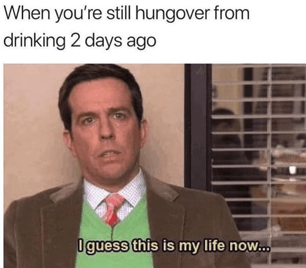 The Ultimate Collection Of Boozy Memes For Elder Millennials Hanging Onto The Party Days (17 Memes) - Jarastyle