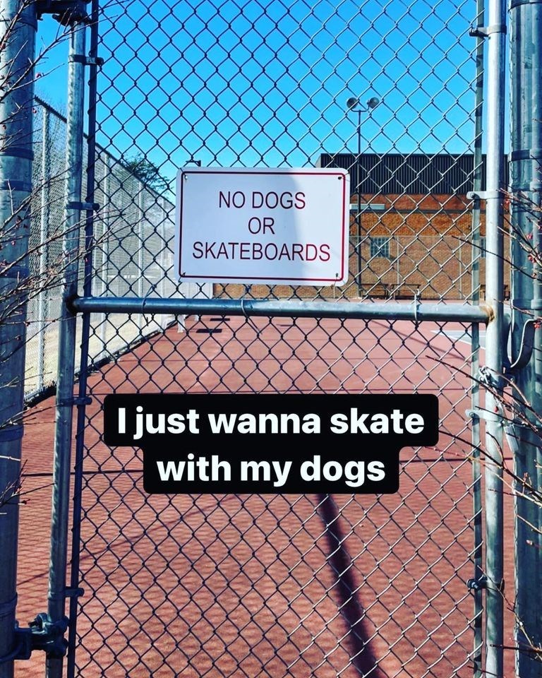 40+ Funny Skateboarding Memes That Totally Grind The Humor Rails - Jarastyle