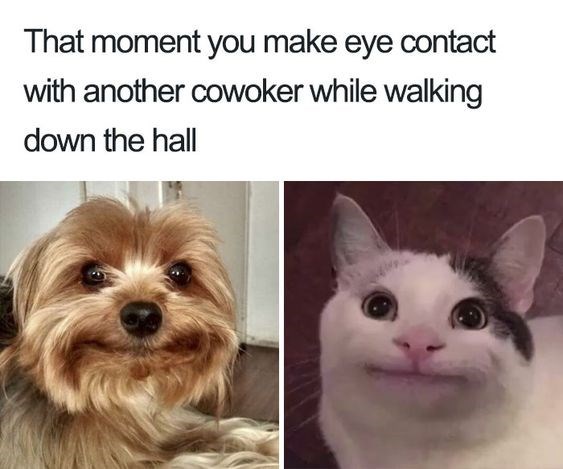 40+ Funniest Coworker Memes For You And Your Overworked And Undervalued Teammates This Week (July 25, 2023) - Jarastyle