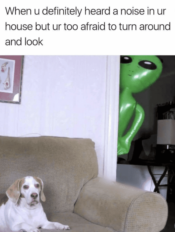 40 Funniest Animal Memes To Help Critter Lovers Laugh Their Way Through The Work Week (July 11, 2023) - Jarastyle