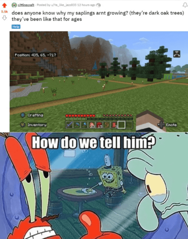 25 Minecraft Memes For Masterful Builders And Resourceful Miners 