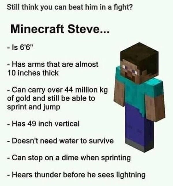 25 Minecraft Memes For Masterful Builders And Resourceful Miners - Jarastyle