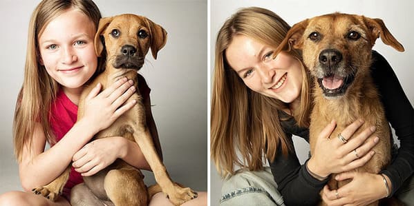 35 Touching Photos Showing Older Dogs As Puppies From The "Dog Years Project" - Jarastyle