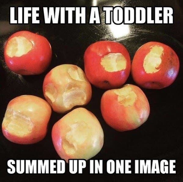 35+ Funny Parenting Memes That Perfectly Sum Up The Chaos Of Being Married And Raising Little Monsters - Jarastyle