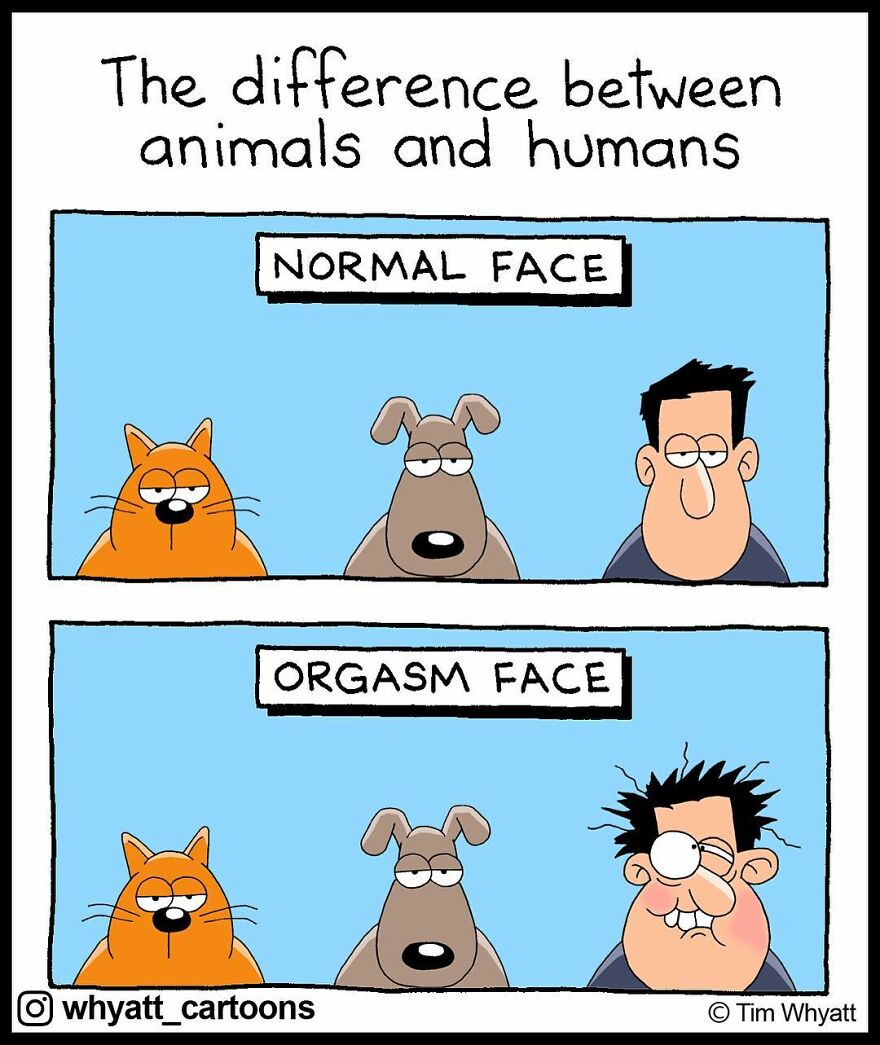 40 Witty And Relatably Funny One-Panel Comics From Whyatt Cartoons - Jarastyle