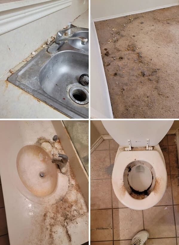 25+ Landlords Reveal The Shocking State Left Behind By Terrible Tenants In Their Homes - Jarastyle