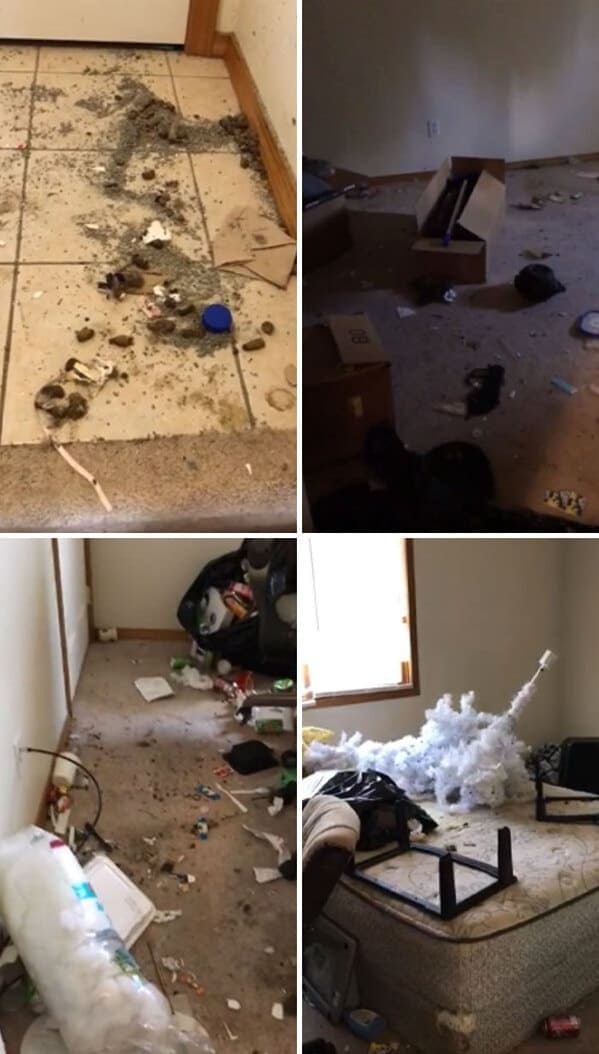 25+ Landlords Reveal The Shocking State Left Behind By Terrible Tenants In Their Homes - Jarastyle