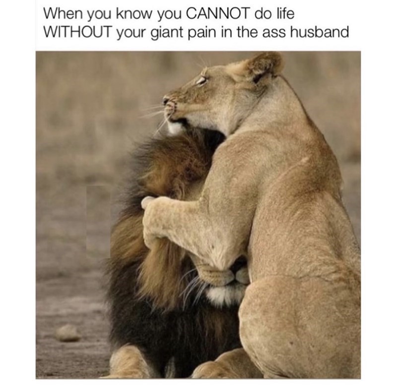 30 Funny Wife Memes That Are A Mix Of Witty, Wholesome, And Dangerous For Husbands To Send To Their Wives - Jarastyle