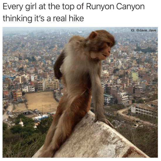 30+ Nature Memes For All The Outdoorsy Folks, And Heck Even Bigfoot If ...