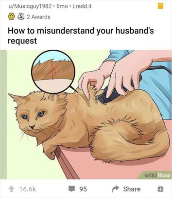 45 Funny Out-Of-Context WikiHow Images That'll Make You Laugh As Much ...